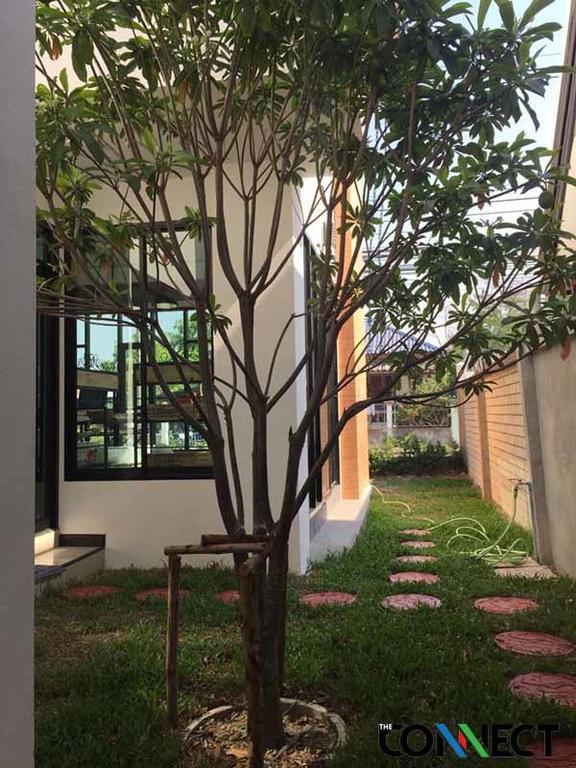 The Connect Chiang Mai Ξενοδοχείο Εξωτερικό φωτογραφία